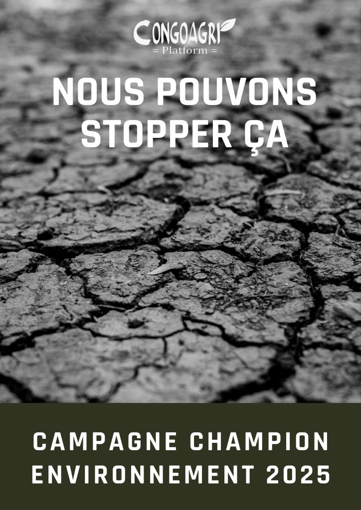 Champion Environnement : Unir l’éducation, la foi et la citoyenneté pour sauver notre planète.